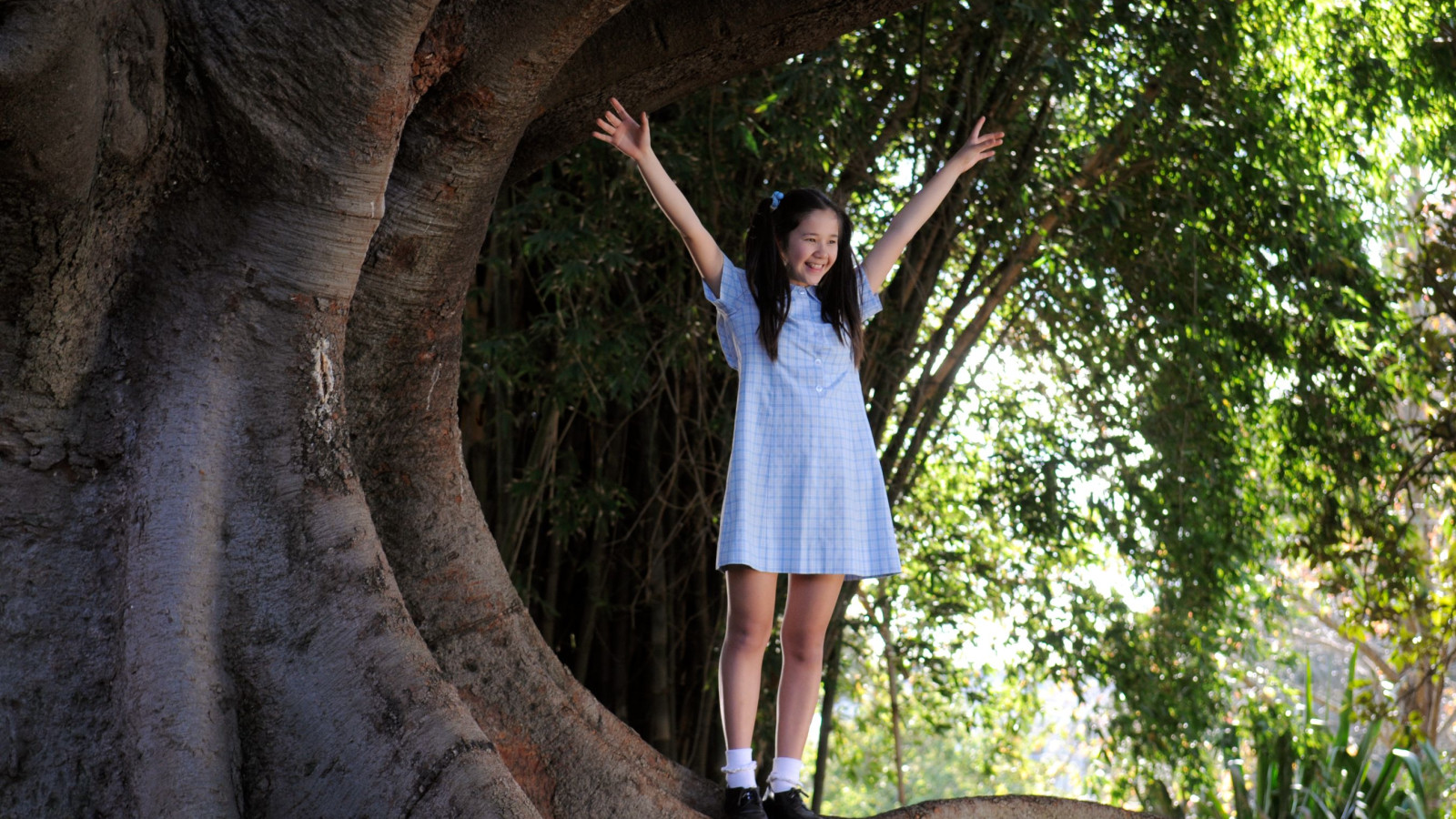 A girl in a light blue dress with a checkered pattern stands joyfully on a wide tree branch, her arms raised in celebration. The background features lush greenery, creating a vibrant, playful atmosphere.