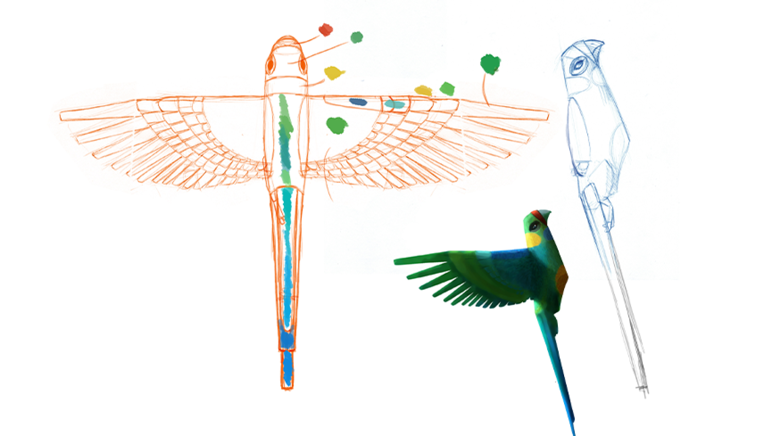 A colorful illustration features different stages of a parrot design, with an unfinished sketch on the right, a stylized representation of the bird in dynamic flight at the bottom, and a rough outline of the parrot above, highlighted with paint splashes. The overall composition showcases the evolution of artistic ideas and techniques for depicting the parrot.