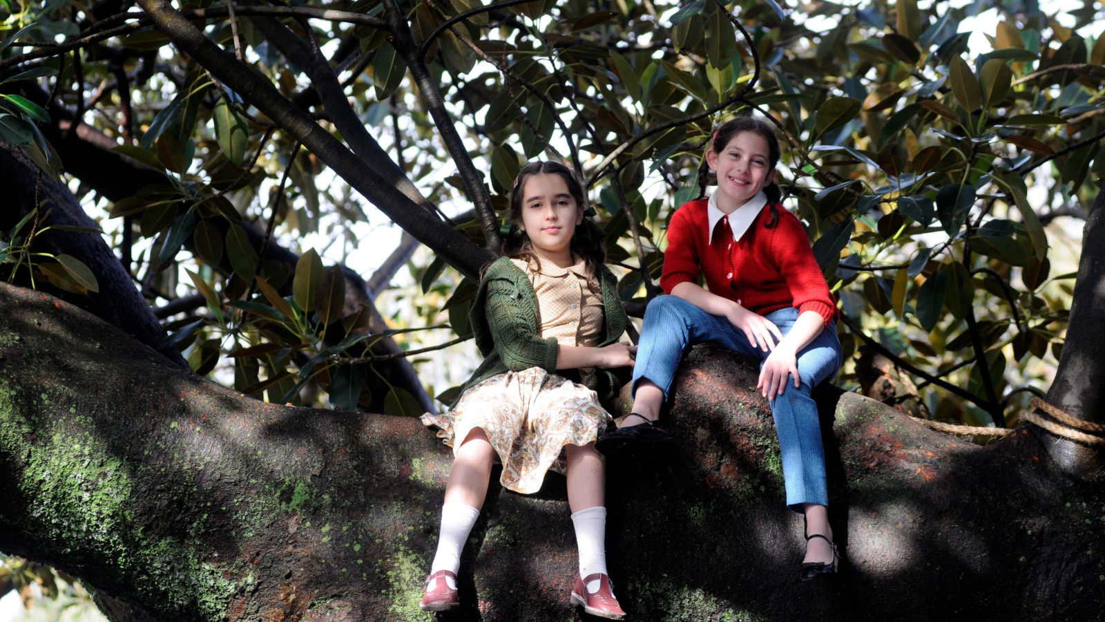 Two young girls sit on a thick tree branch, surrounded by lush green leaves. One girl wears a green cardigan over a patterned dress, while the other is dressed in a bright red sweater and jeans, both smiling as they enjoy their time up in the tree.