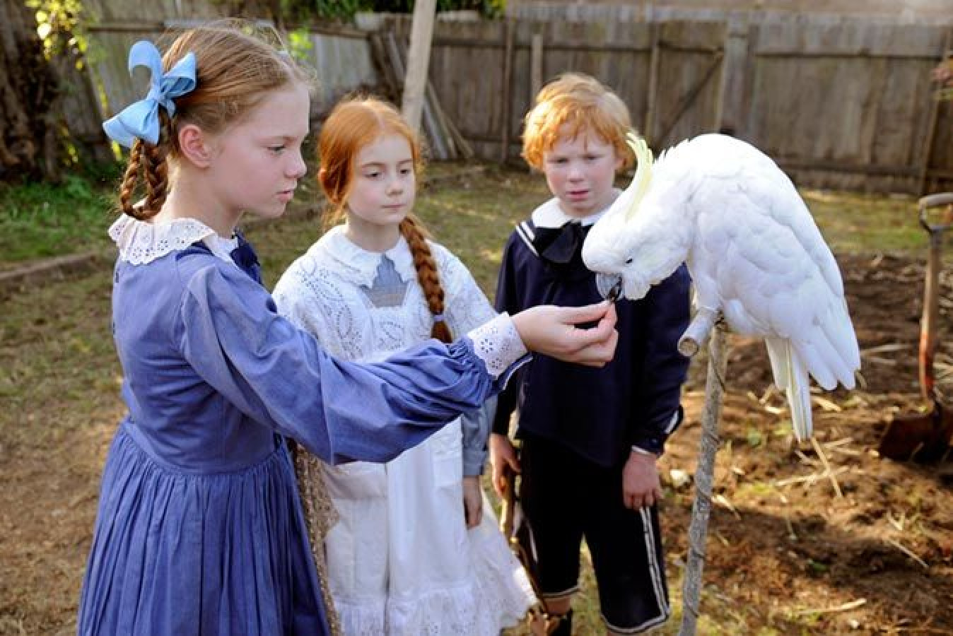 Two girls in vintage dresses, one with a blue bow, are interacting with a white cockatoo perched on a stick. A boy in a black shirt watches the scene, while a wooden fence and grassy area create a rustic backdrop.