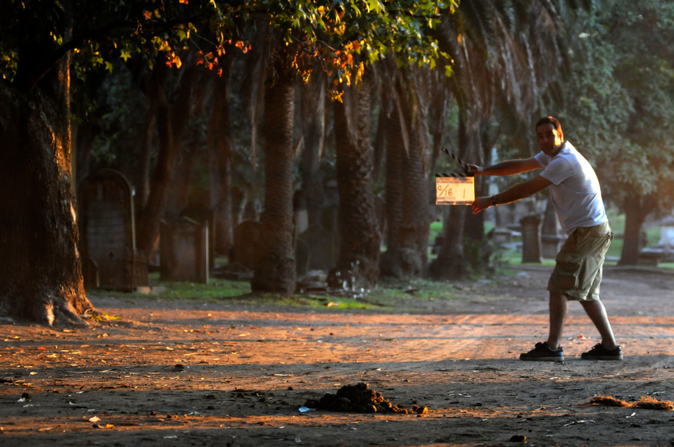 A person stands on a dirt path in a cemetery, holding a film clapperboard. Tall palm trees line the background, with sunlight filtering through the leaves, creating a warm glow on the ground.