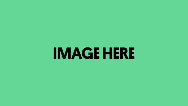 A light green background features the bold text "IMAGE HERE" in black, emphasizing the placeholder nature of the content. The text is centered and prominently displayed.