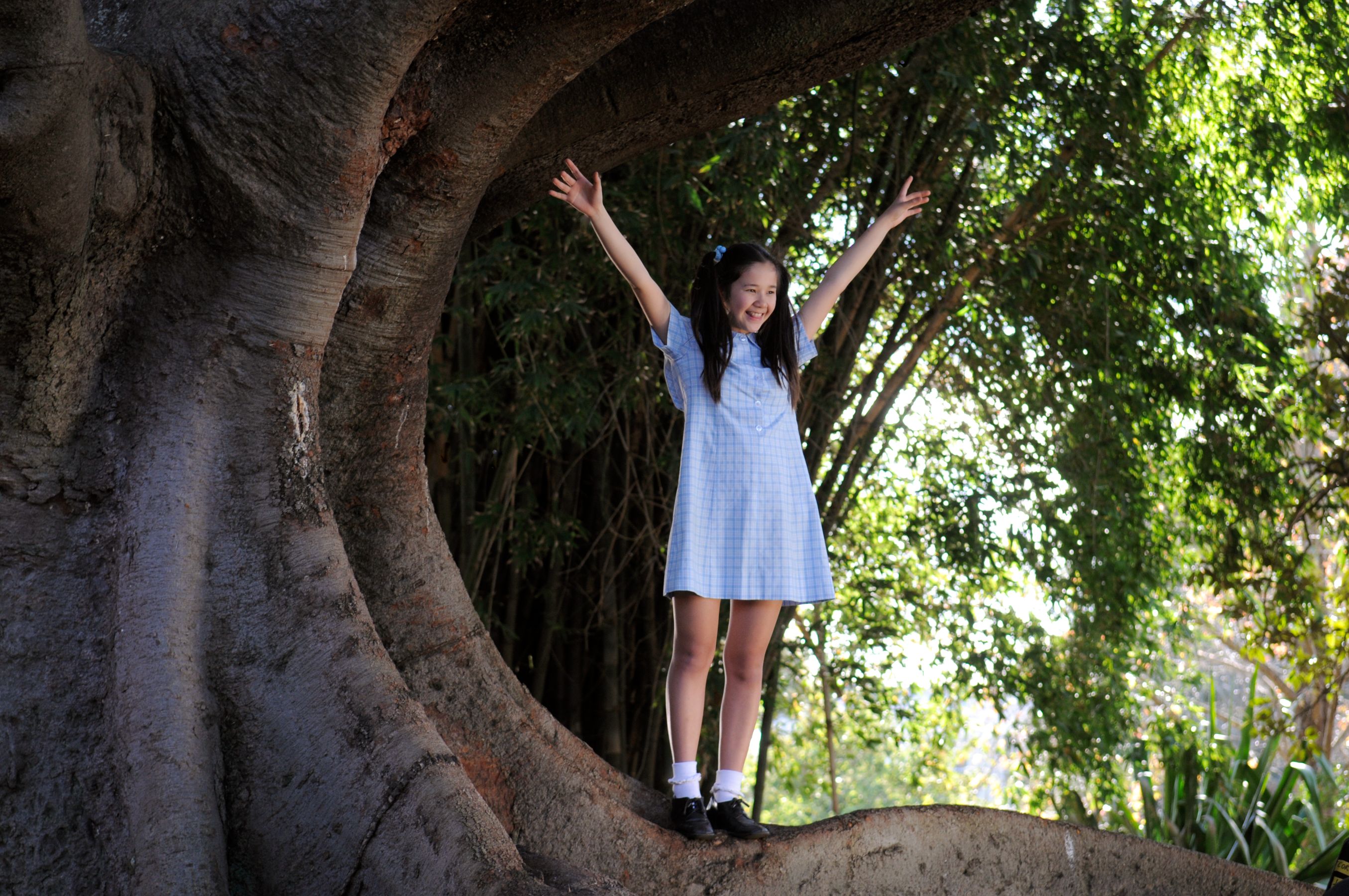 1988_Lily_Big Tree A girl in a light blue dress with a checkered pattern stands joyfully on a wide tree branch, her arms raised in celebration. The background features lush greenery, creating a vibrant, playful atmosphere.