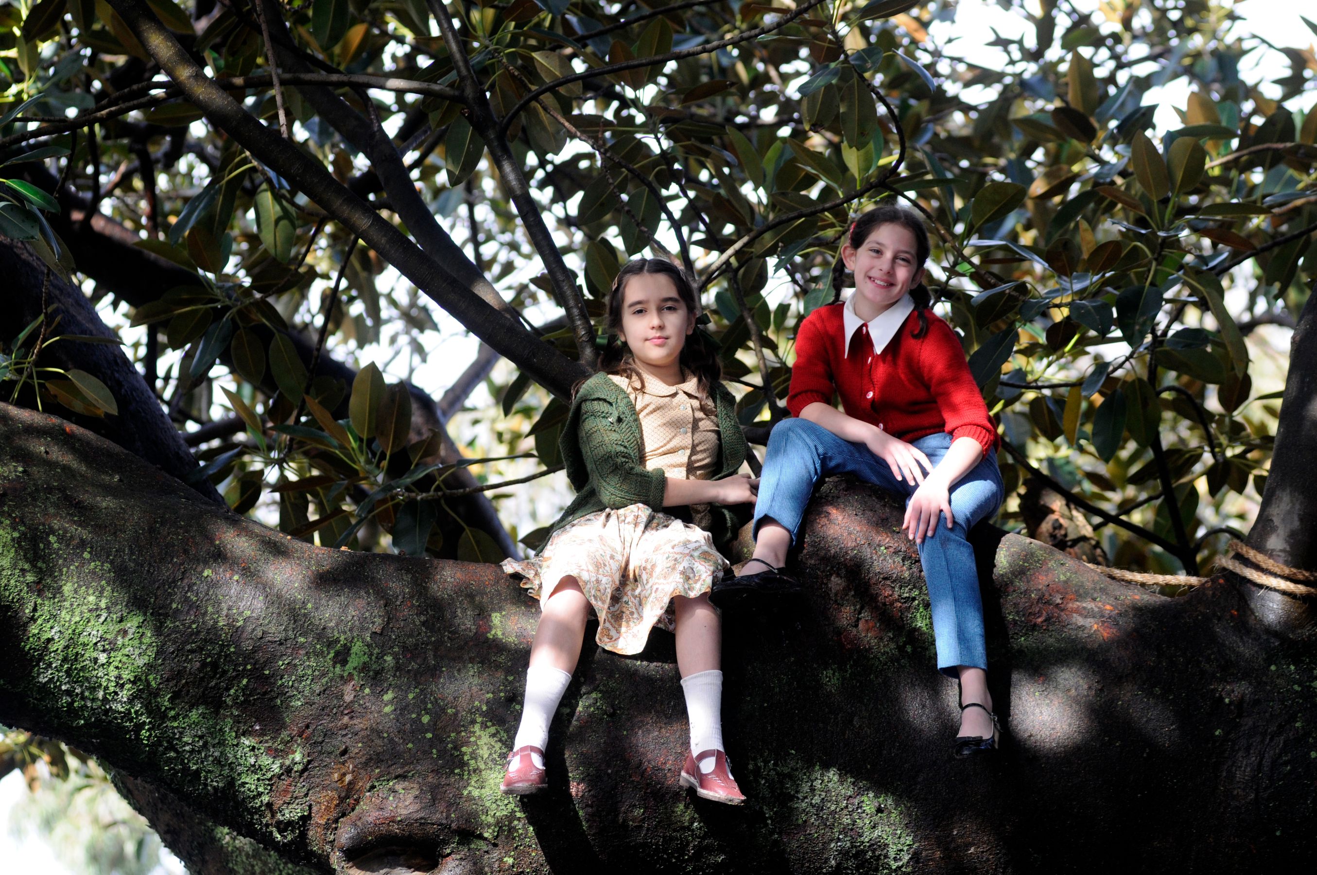 Two young girls sit on a thick tree branch, surrounded by lush green leaves. One girl wears a green cardigan over a patterned dress, while the other is dressed in a bright red sweater and jeans, both smiling as they enjoy their time up in the tree.