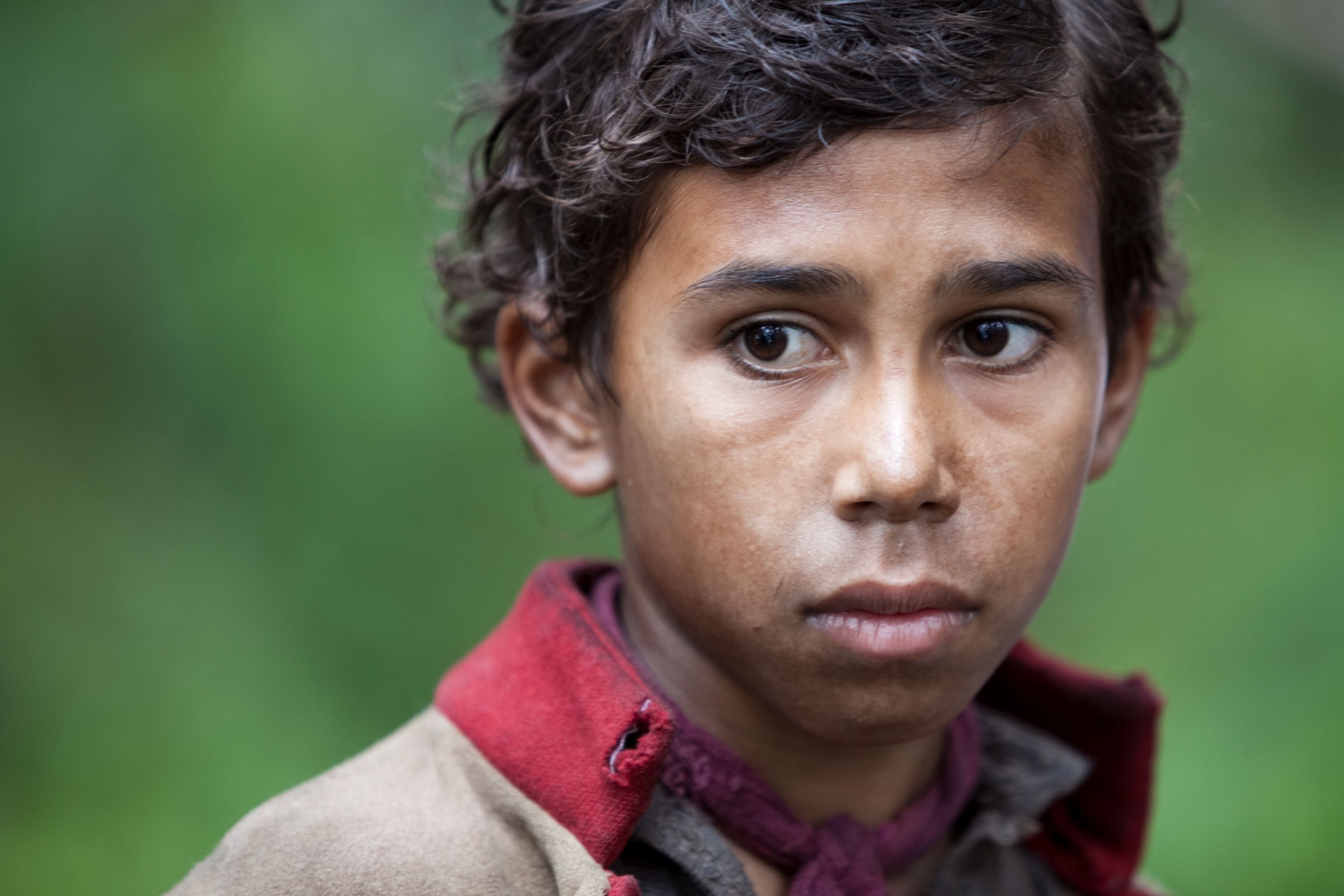 A young boy with curly hair looks intently off to the side, his face slightly dirty and showing an expression of concern or contemplation. He wears a collar with a red trim and a scarf, and the background features a soft green blur, suggesting a natural setting.