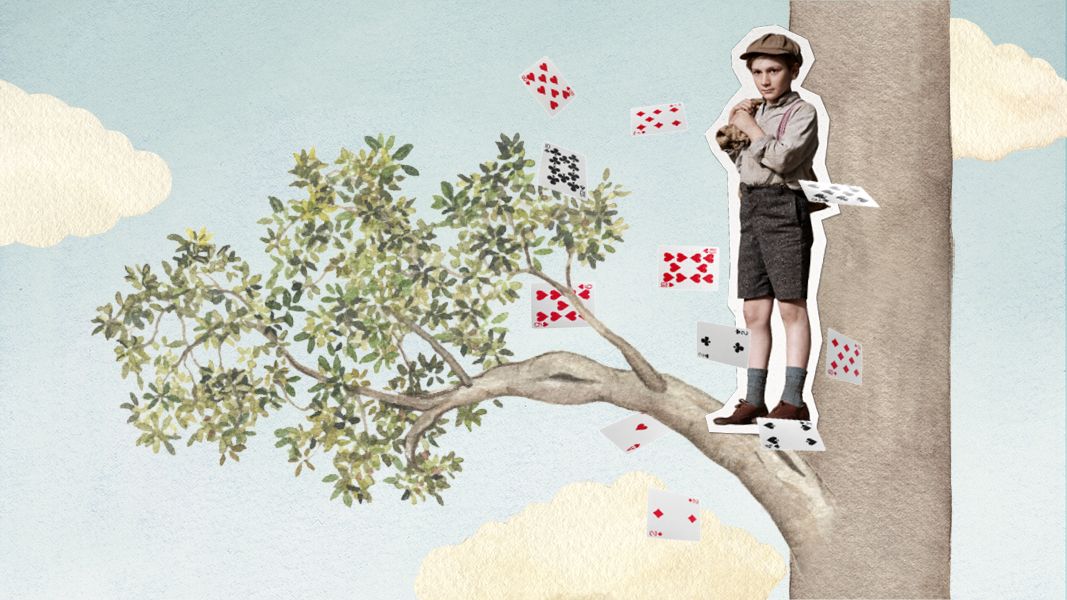 A young boy stands on a tree branch, holding a teddy bear, surrounded by scattered playing cards in various colors. The background features a light blue sky with fluffy white clouds and illustrated green leaves on the tree.