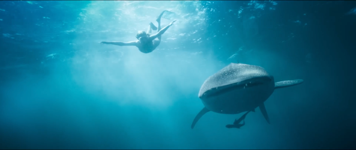 A person swims underwater near a large fish, likely a whale shark, in a serene blue ocean environment. Sunlight filters through the water, creating a tranquil atmosphere.
