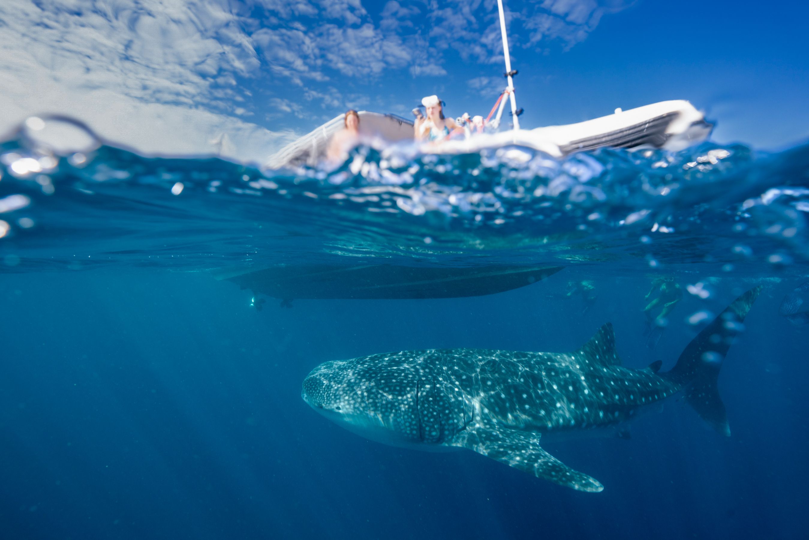 A large whale shark swims gracefully beneath the surface of the clear blue ocean, while a boat with several people is visible above, partially silhouetted against a bright sky filled with scattered clouds. The sunlight filters through the water, creating a serene underwater atmosphere.