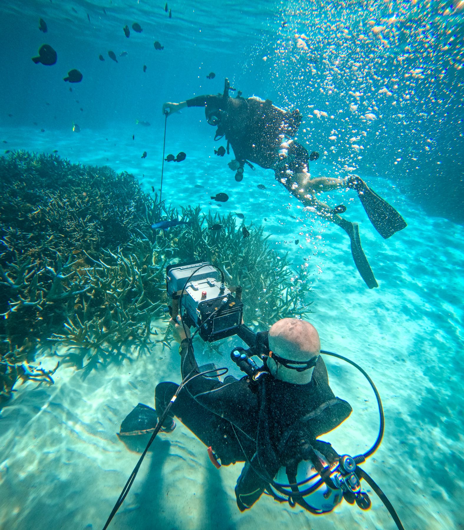 Two divers are exploring an underwater scene filled with vibrant coral and schools of fish. One diver, equipped with a camera, is positioned on the ocean floor, while the other swims nearby, observing and measuring the environment. Bubbles rise through the clear blue water, creating a serene atmosphere.