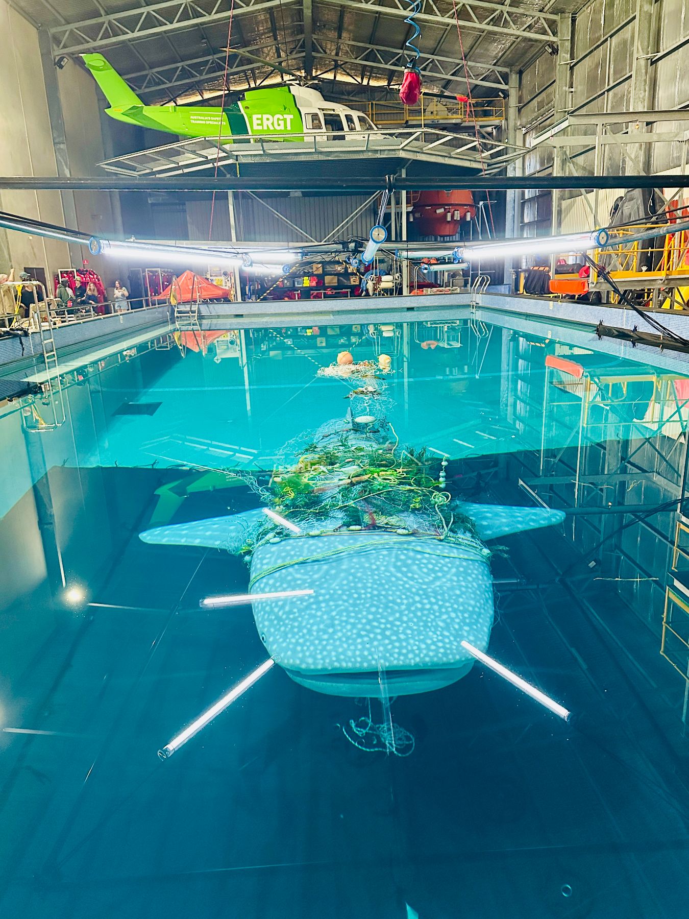 A large pool inside a facility contains a submerged object resembling an aircraft, partially covered in aquatic vegetation and fishing nets. Overhead, a green helicopter is visible, while equipment and tools are organized around the pool, suggesting an operational or training environment.